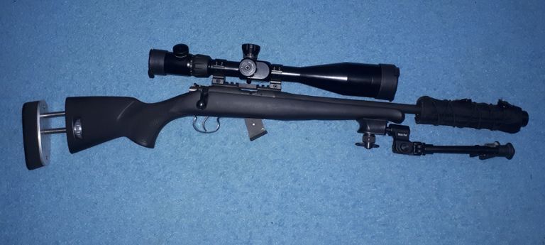 Adjustable stock conversion for a .22rf CZ